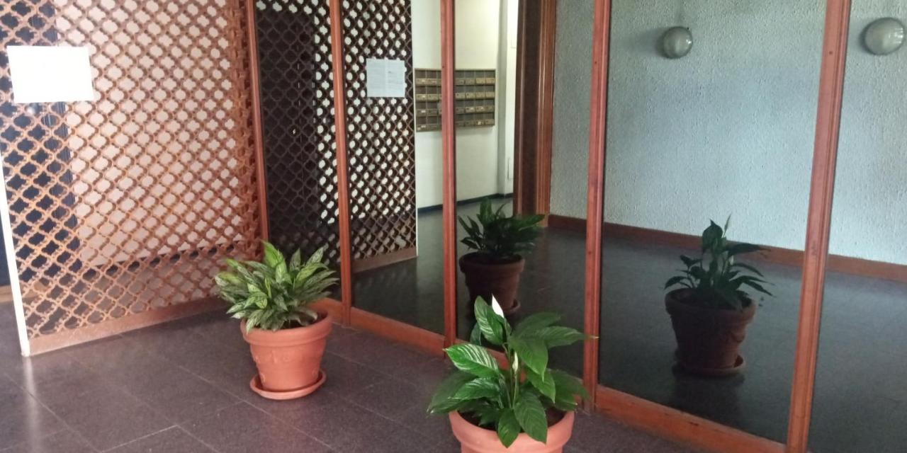 Aurelia - Apartment Begonia Roma Ngoại thất bức ảnh